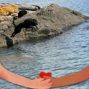 Meet your Posher, Ellen